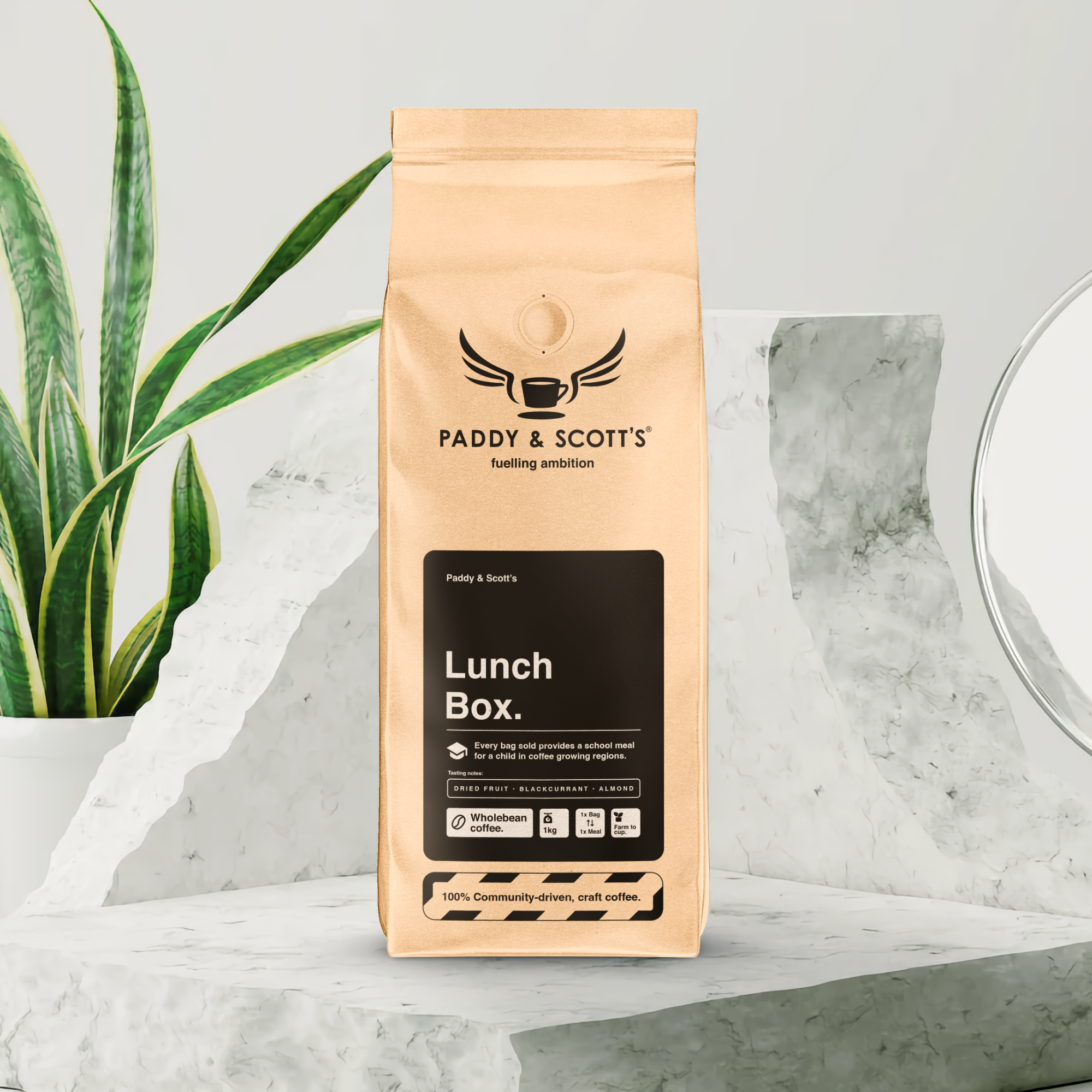 Lunch Box • Wholebean