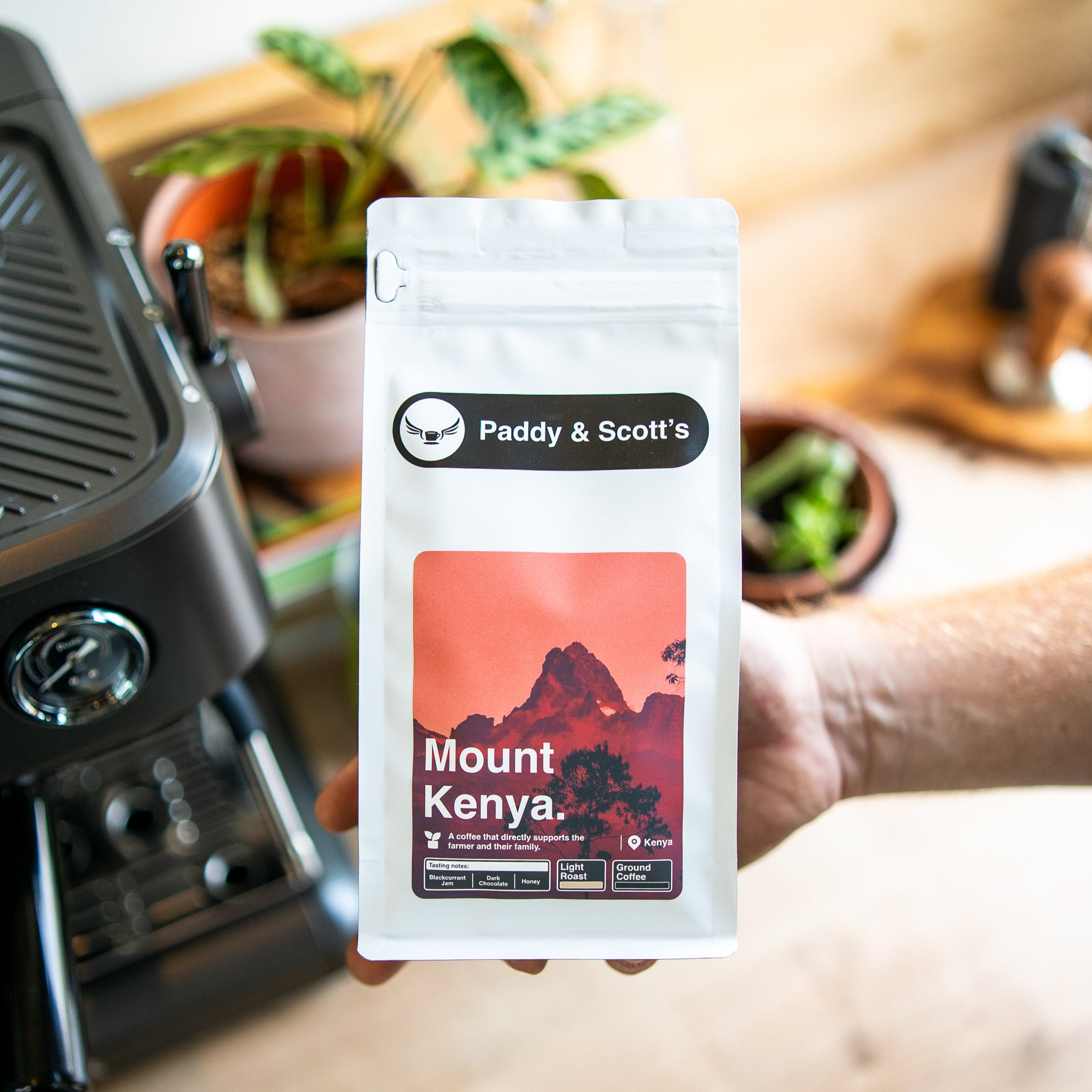 Mount Kenya • Coffee