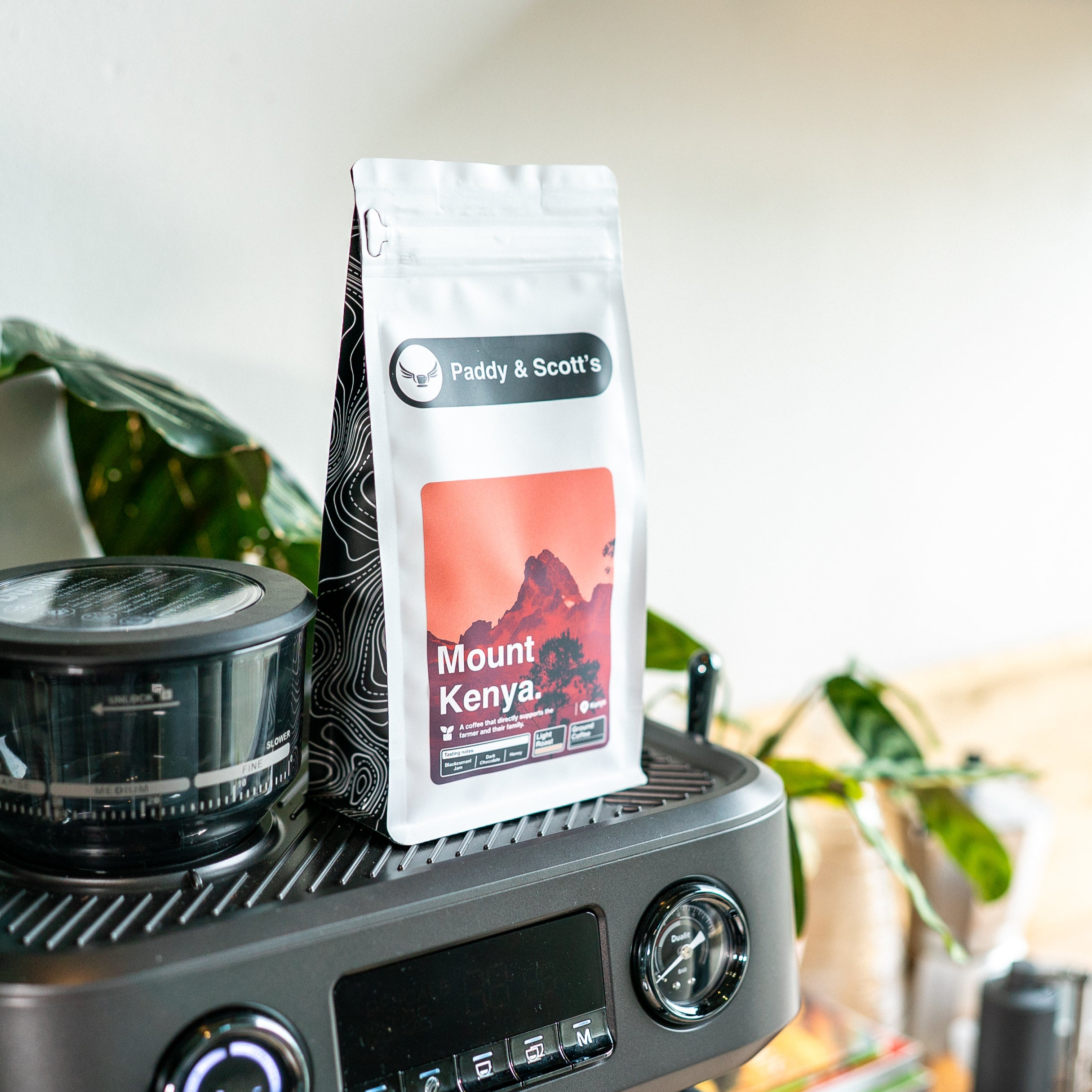 Mount Kenya • Coffee