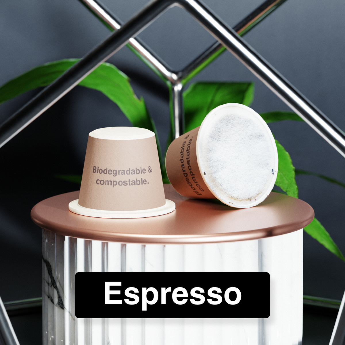 Lunch Box Compostable Nespresso Compatible Pods
