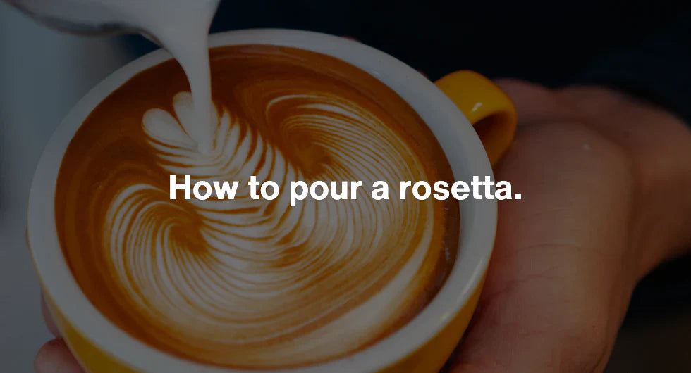 How to pour a rosetta